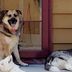 Jody Featherston - Facebook