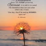 Jodi Fields - @jodi.fields.1612 - Instagram