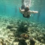 Jodi Guenther Fields - @sparklingfieldslife - Instagram