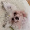 JodiFields - @mrskazvybi9 - TikTok
