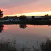 Jodi Finley866 - @jodifinley1985 - TikTok