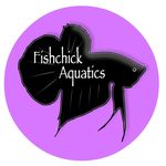 Jodi-Lea Matheson - @fishchick_jodi - Instagram