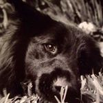 Jodi Floyd - @jodifloyd - Instagram