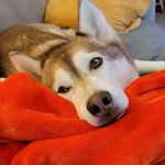 Jodi Franks - @producerjodi - Instagram