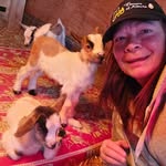 Jody Fraser - @wild_sage_acres - Instagram