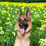 Jodi Thomas Frederick - @fredj6 - Instagram