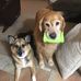Jodi Galbraith - Facebook