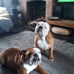 Jodie  galbraith - @galbraith6550 - Instagram
