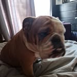 jodie galbraith - @jodiegalbraith60 - Instagram
