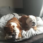 Jodie galbraith - @galbraithjodie - Instagram