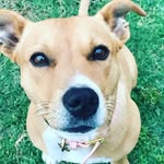 Jodi Gallagher - @jodig1972 - Instagram