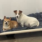 Jodi Lynn Gallagher - @jodigallagher - Instagram