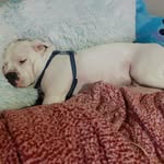 jodi garrison - @jo_di1234 - Instagram