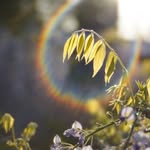 Jodie Garrison - @sunlit.reverie - Instagram