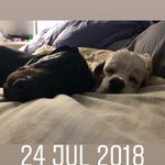 Jodi Gibbons - @jodibda - Instagram