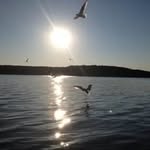 Jodi Gill - @jdgill71 - Instagram