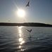 Jodi Gill - Facebook