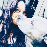 Jodi Gill - @thee_gill_misfit_bully_ranch - Instagram