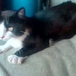 Jody Gilman Kaus - @minnesotagirl1212 - Instagram