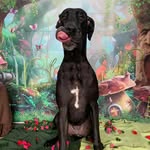 Jodi Goldstein Beyer - @jodibeyer64 - Instagram