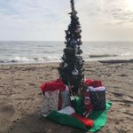 Jodi Goss - @goss.jodi - Instagram