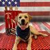 Jody Groves - Facebook