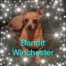 Jodi Harms - Facebook