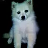 jodie_herbert - @jodie_herbert - TikTok