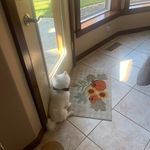 Jodi Horton Compton - @jmhc22 - Instagram
