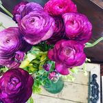 Jodi Hurst - @jodiahurst - Instagram