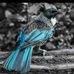 Jodi Isaacson - Facebook