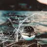 jodi kaiser - @user048358253 - TikTok