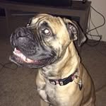 Jody Kaiser - @mama_kaiser - Instagram