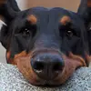 Jodi Keener - @jodi.keener5 - TikTok