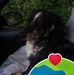 Jodi Kemper - Facebook