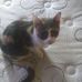 Jody Kemp Jr. - Facebook