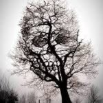 Jody Kline Tammaro - @jotam225 - Instagram