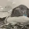 Jodi Knapp - @jodiknapp6 - TikTok