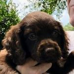 Jody Knowles - @jodyknowles4 - Instagram