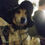 Jody Knowles - @missus_knowles - Instagram