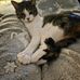 Jody Knowles - Facebook