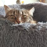 Jodi Krueger - @krueger8750 - Instagram