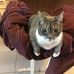 Judy Loverde - Facebook