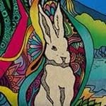 Jodi - @jodi_landscape_captures355797_ - Instagram