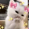 Jody  💗lara🦋 - @jody.lara - TikTok