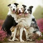 Jody Justus Linton - @jlinton50 - Instagram
