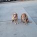 Jodi Logan - Facebook