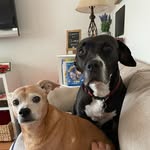 Jodi loos - @jazzie309 - Instagram