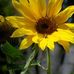 Jody Lorenz - Facebook