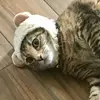 Jodi - @jodimackey758 - TikTok
